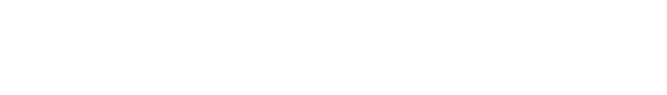 Witwiser_Logo_Disi-Jul-28-2022-12-44-27-73-PM